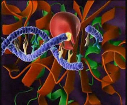 HIV Replication 3D Animation