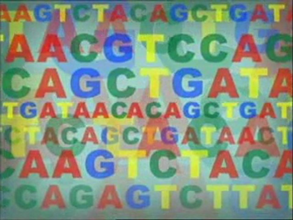Animation - How DNA Works