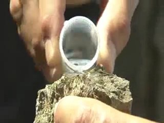 Mars Science Laboratory