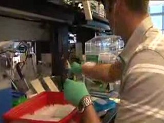 Bruce Conklin: Drug screening with stem cells