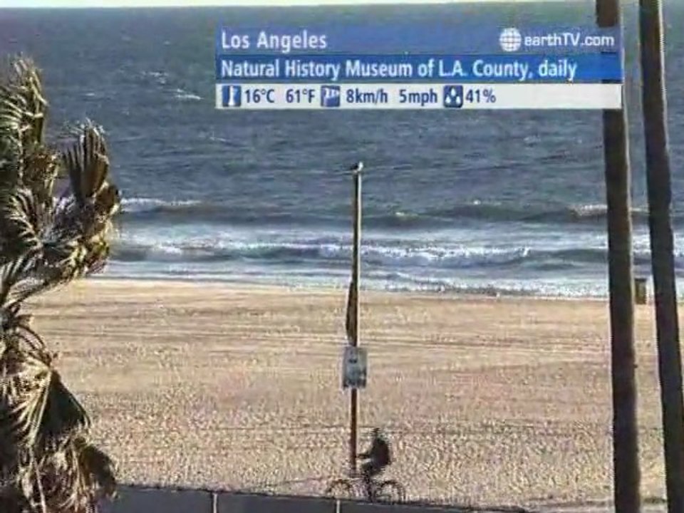 Warnemunde - Germany, Melbourne - Australia, Agadir - Morocco, Muscat - Oman, Los Angeles - USA, Bandar Seri Begawan - Brunei, Cannes - France