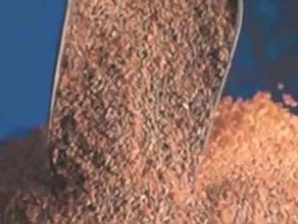 Fastest Way to Lose Belly Fat - The Truth About HFCS