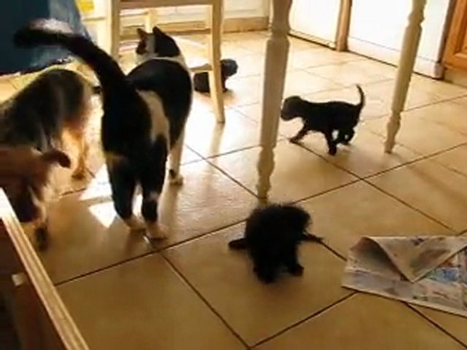 tous en famille
