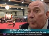 La folle Exposition Canine de Toulouse