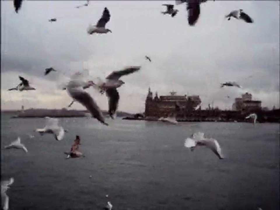 Murat Yılmazyıldırım - ADSIZ DÜŞ