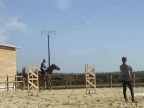 If de la Grange, Ecuries du bout du monde