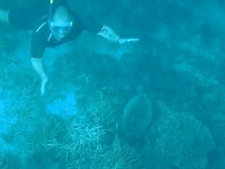 marc tortue aux maldives 3