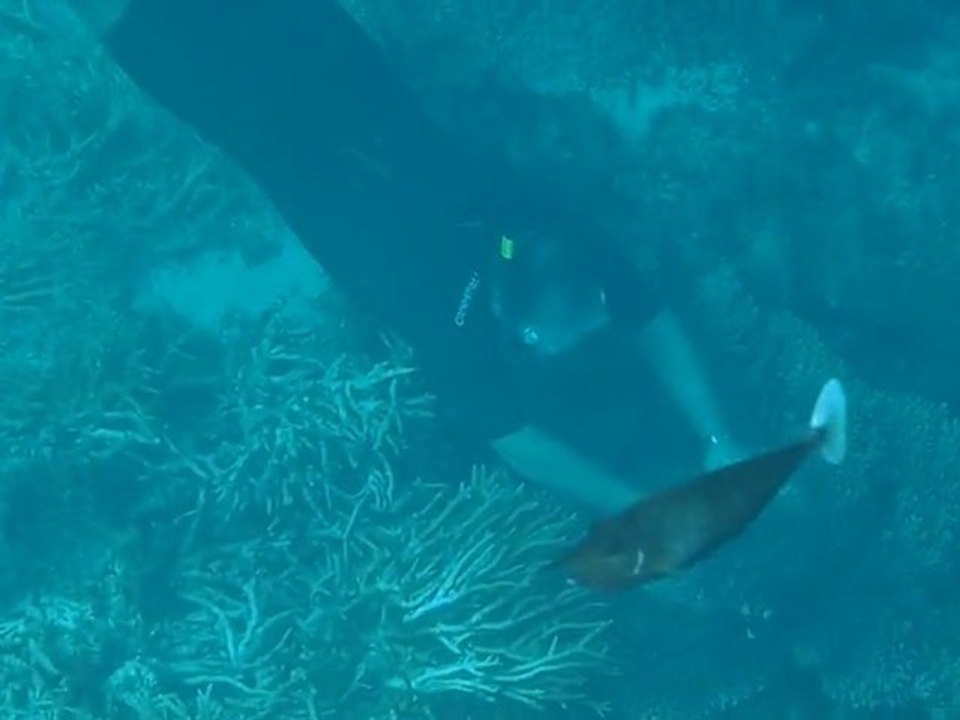marc nage avec une tortue aux maldives