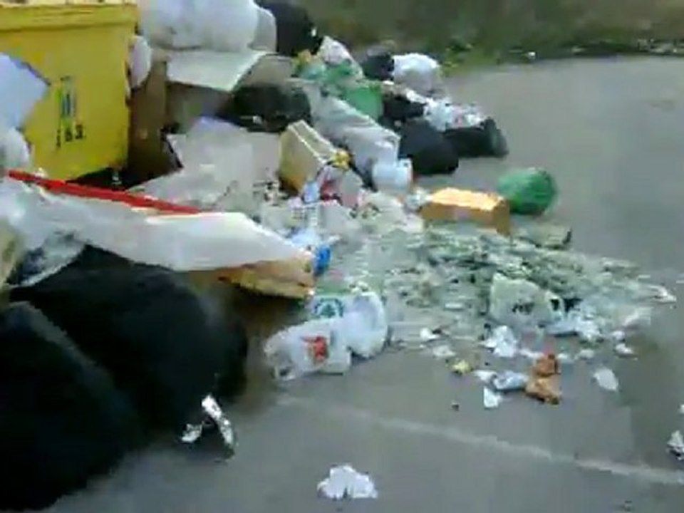 immondizia.3GP