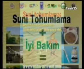 Erzurum İli Büyükbaş Hayvan Islahı Projesi