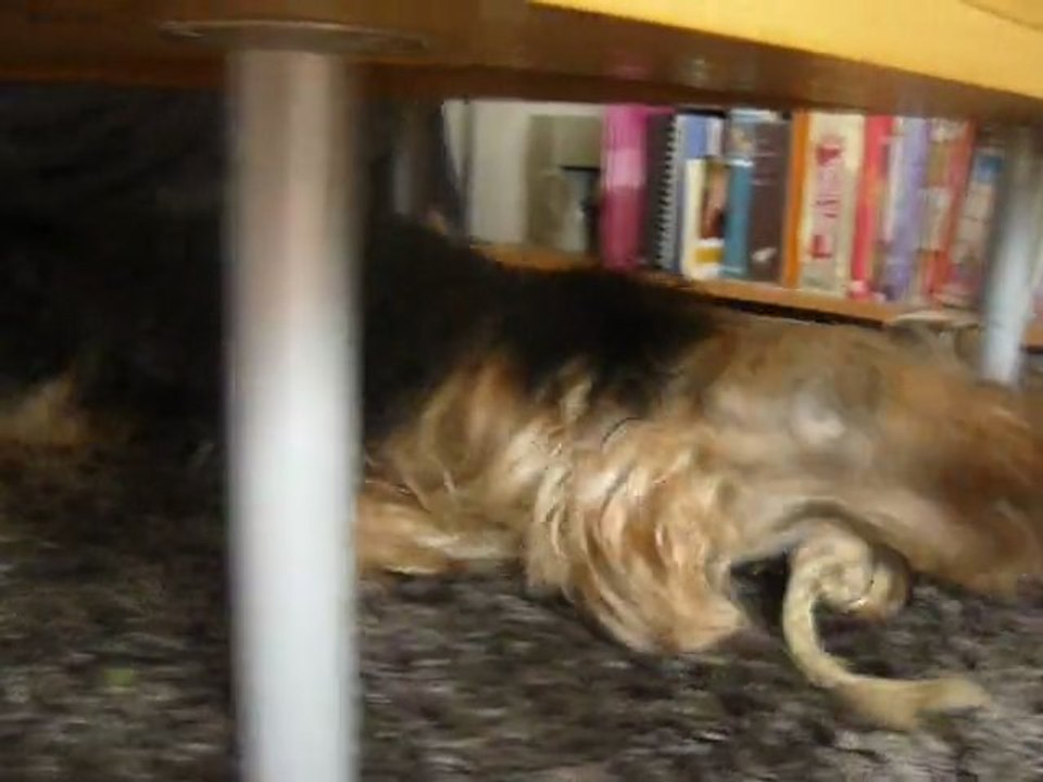 Pourquoi z'aime tant mon pouic!