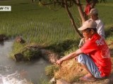 Rice - Searching for New Farming Methods | Global 3000