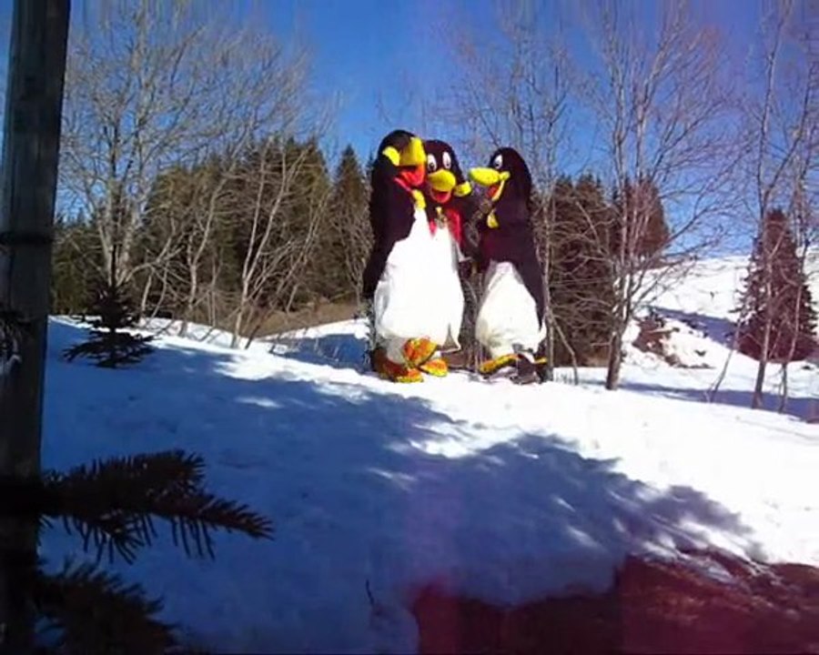 Pingouins - Saison 1 Episode 3