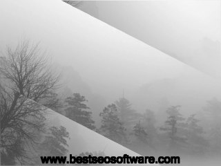 SEO strategy that works