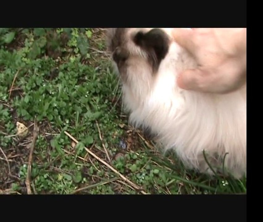 Un peu de poésie, de larmes et un peu de rire à la fin...