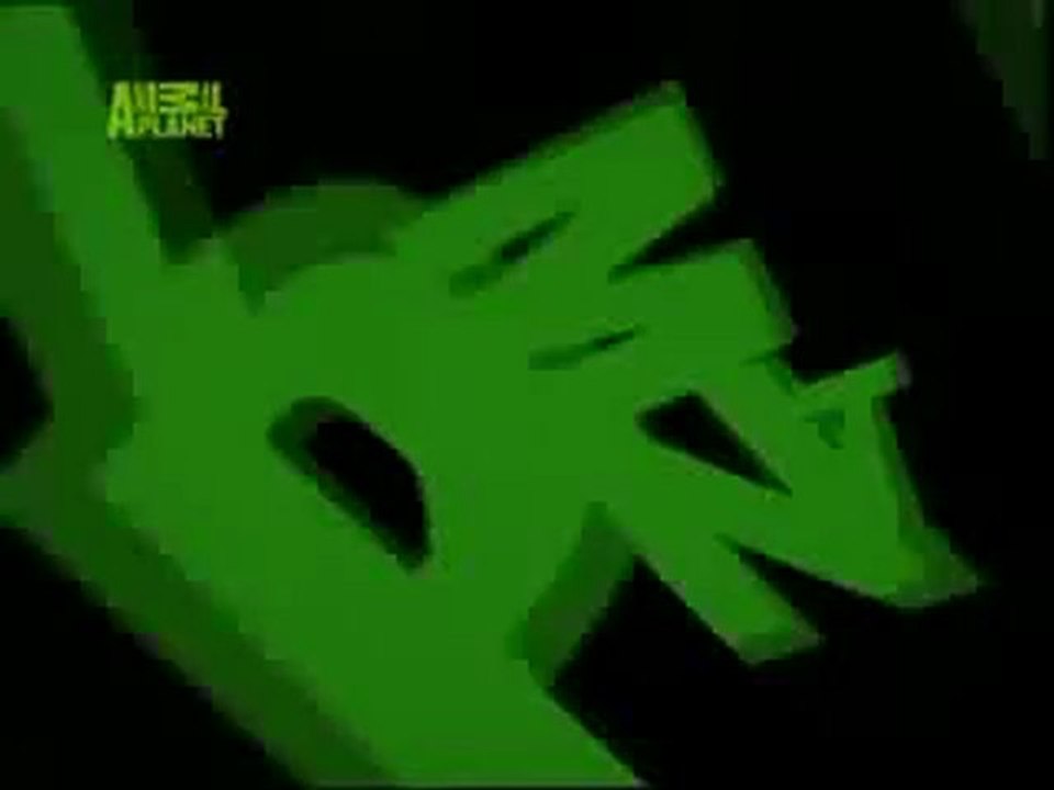 Jingiel Animal Planet