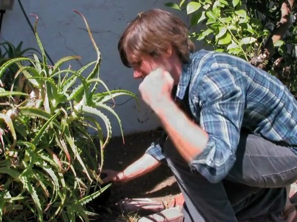 Hands Commercial (Jon Lajoie)