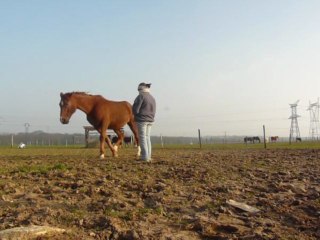 "Bêtisier" séance 1/03/2011