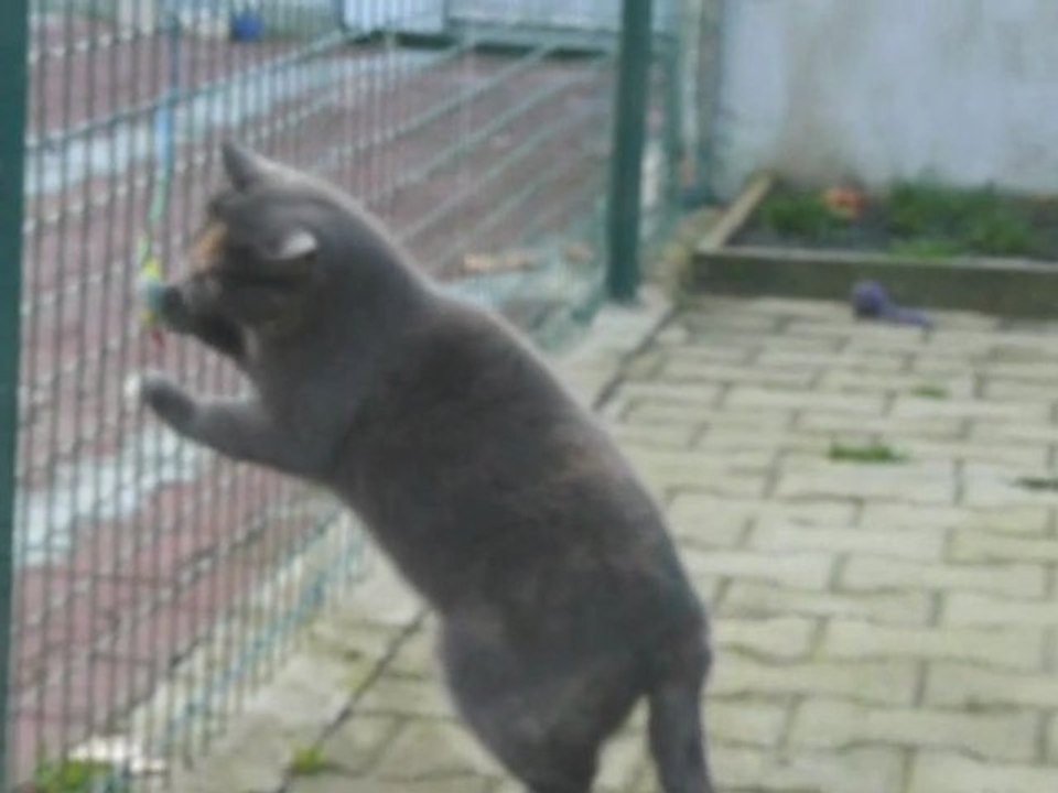 ANAIS2