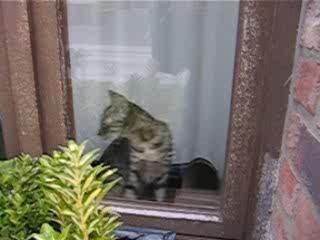 Défi : attraper la baguette...