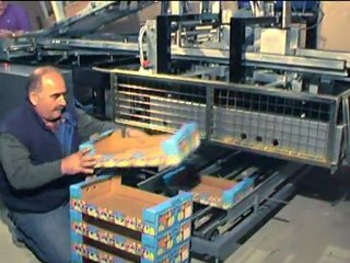 Kutu Kurma Makinası