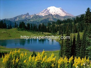 Have you seen this yet?