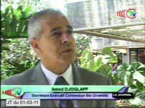 Brazzaville abritera le sommet des trois bassins forestiers