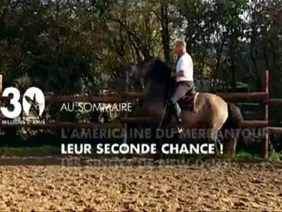 Sommaire émission 30 millions d'amis 5 03 2011