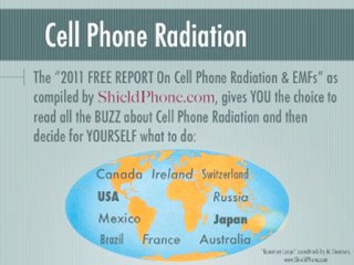 The 2011 Free Report On Cell Phone Radiation & EMFs