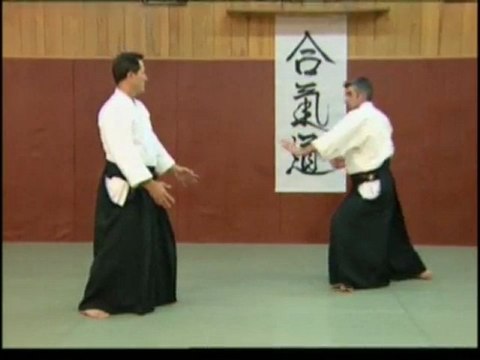 Christian Tissier - Chudan Tsuki - Irimi Nage