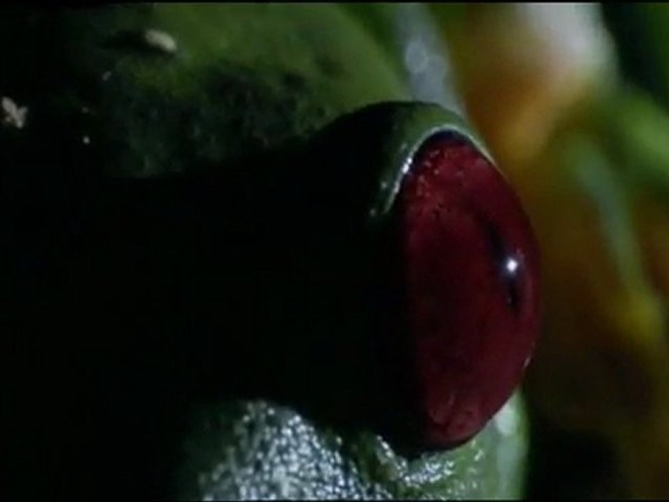 Oliver Shanti   Friends - Sacral Nirvana (nature)