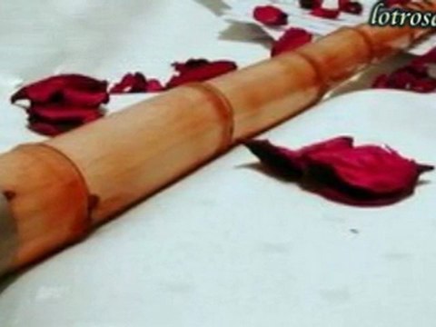 Ney The Mey-Başar DİKİCİ (Dosta Doğru Fon Müziği)