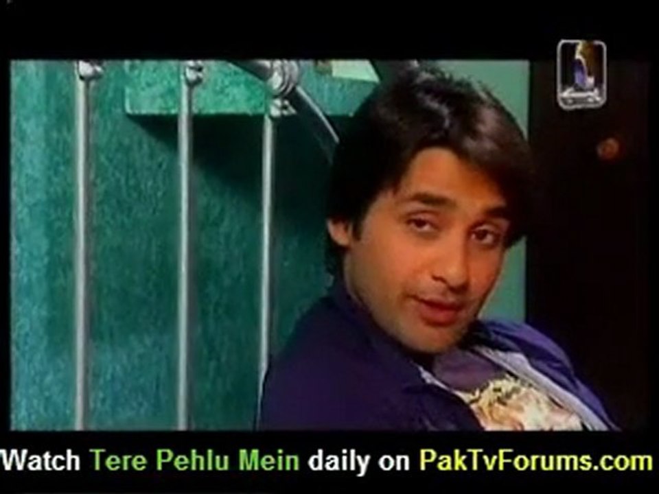 Tere Pehlu Mein - 2nd March 2011 - Part 2/2