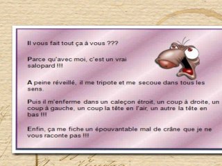 La dure vie d'une Zigounette