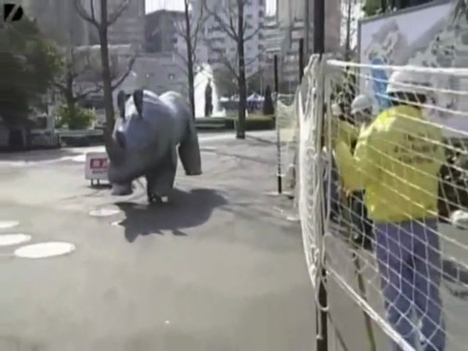 Cosa fare se il rinoceronte fugge dallo zoo