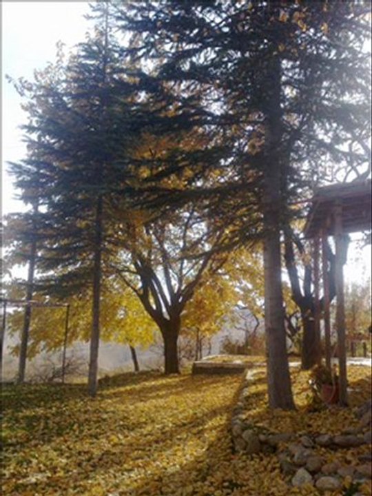 hayat ve ben can dündar