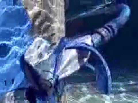 robot piscine hydraulique