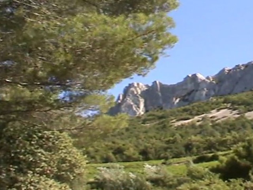dentelles de montmirail