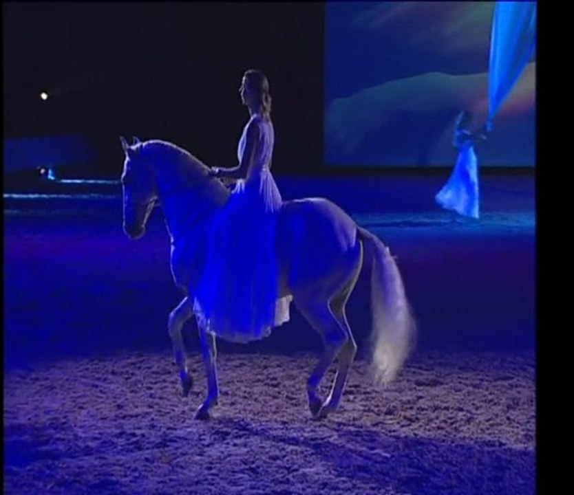 piaffer cheval passion 2008