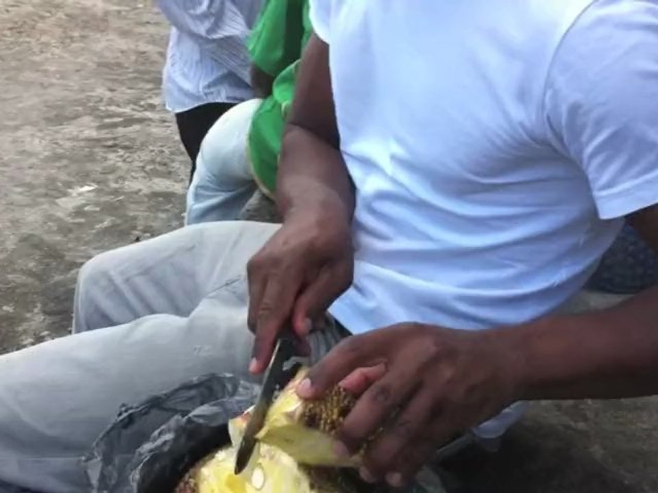 Plaisir Des Comores (COMORES ISLAND)