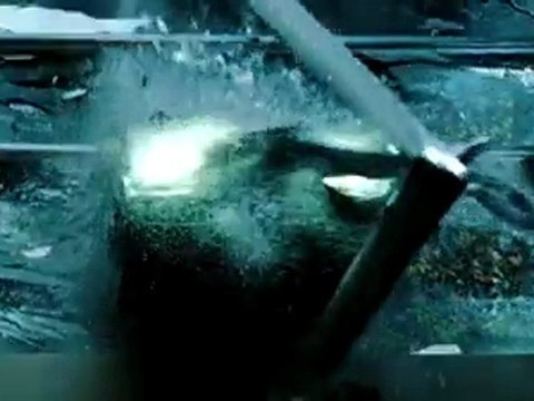 Yeşil Yaban Arısı Fragman