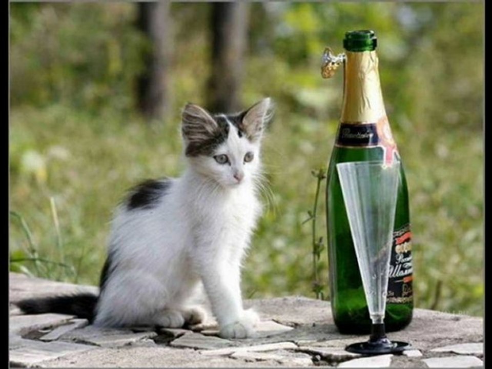 ERKAN OĞUR EY ZAHİT