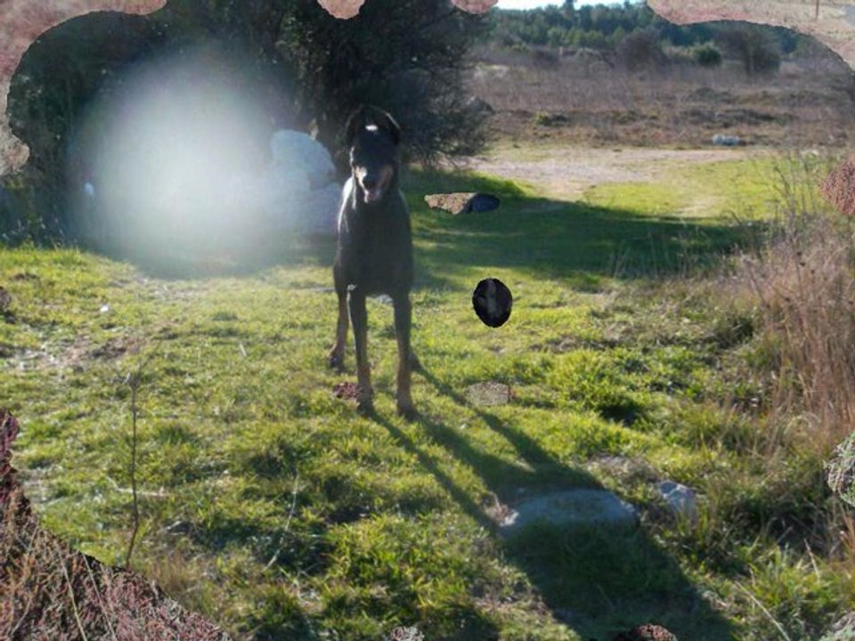 ma fille que jaime mon alter ma majeste mon petit coeur