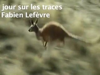 Un jour sur les traces de Fabien Lefèvre