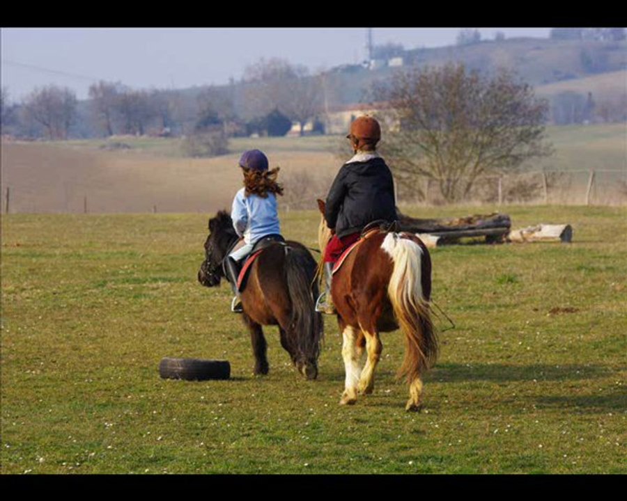 pension cheval nature 2011
