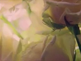 Pub Dior 2011 natalie portman exclusif