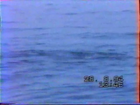 Bégnat - Chasseur de thons -1994- Partie 1