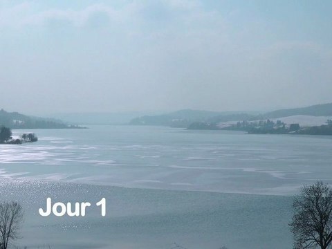 Montagnes du Jura : autour d'un Comté