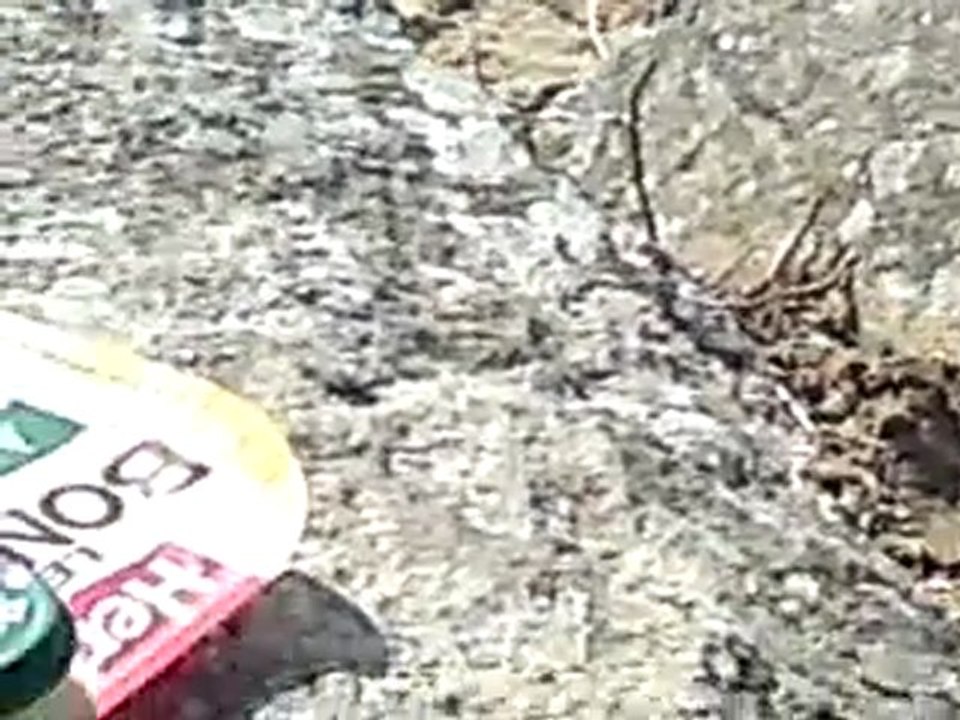 REPAS DU MIDI XD 02/03/2011  @ FORT-BLOQUé