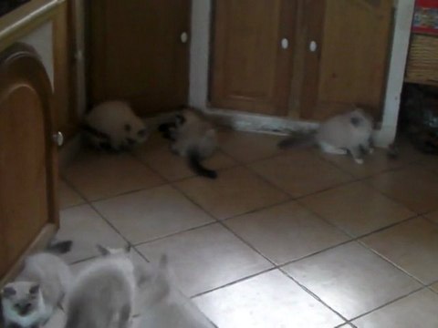 6 frères et soeurs se réveillent en même temps.